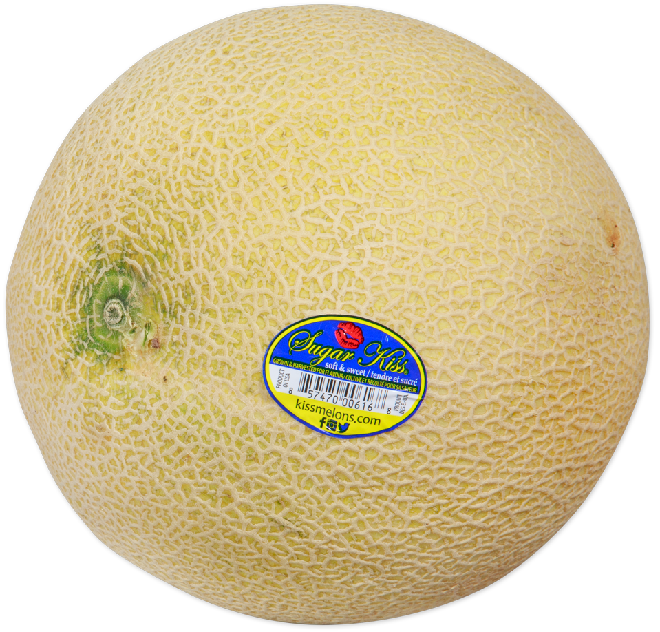 Sugar Sweet Melon