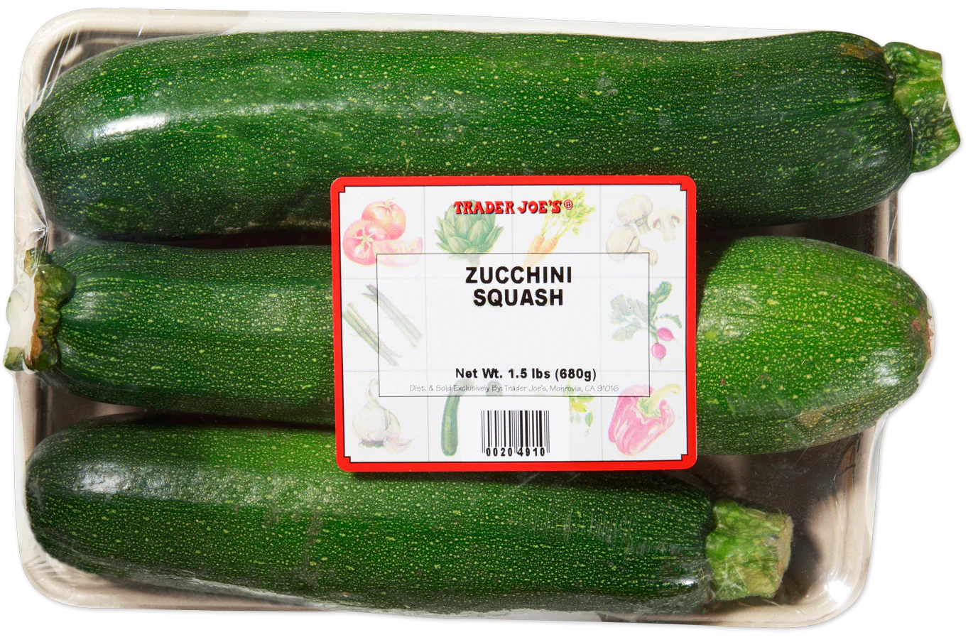 Zucchini Squash