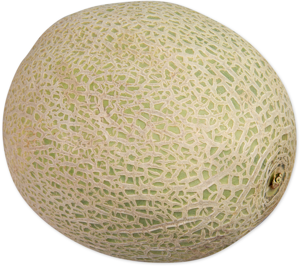 Cantaloupe