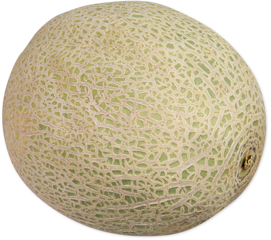 Cantaloupe