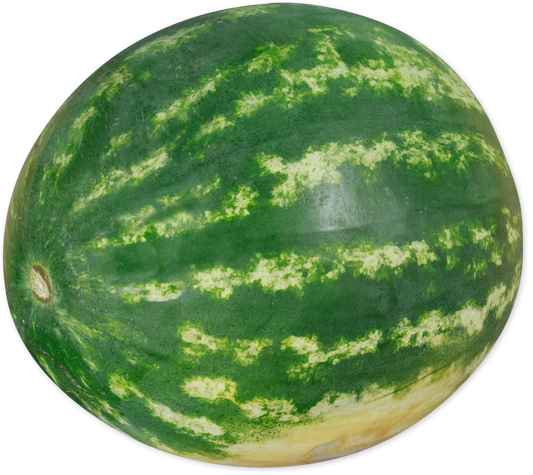 Seedless Watermelon