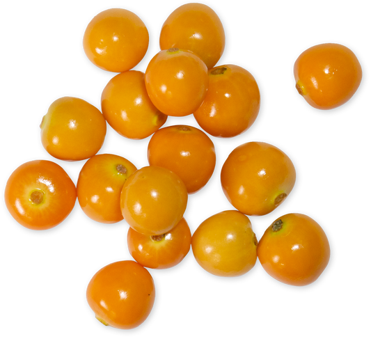 Cape Gooseberries